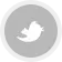 http://portal.domainuser.ir